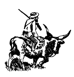 Семья Майклов в Африке - i_031.png