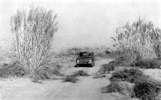 Вижу цель. Записки командора - i_116.jpg