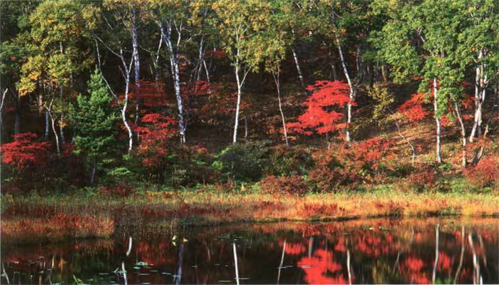 Дзэн-буддизм.Уроки мудрости учителей дзэн - img00_2.jpg