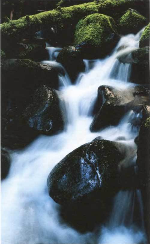 Дзэн-буддизм.Уроки мудрости учителей дзэн - img00_4.jpg