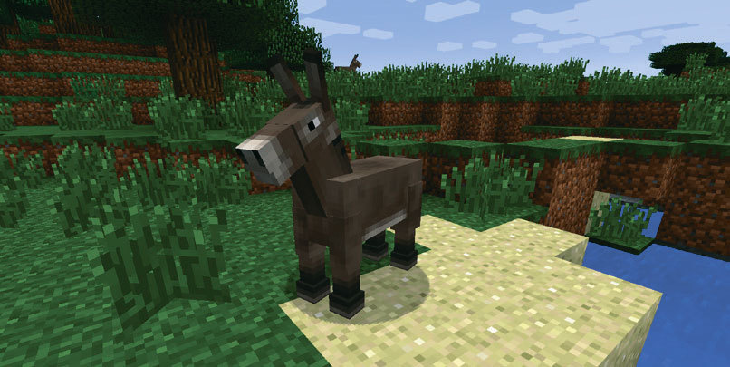 Все секреты Minecraft - i_061.jpg