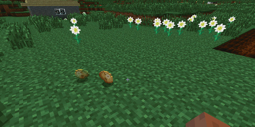 Все секреты Minecraft - i_081.jpg