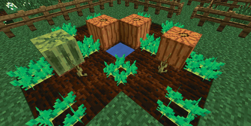 Все секреты Minecraft - i_086.jpg