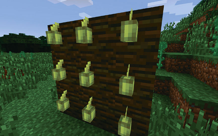 Все секреты Minecraft - i_088.jpg