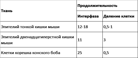 Размножение организмов - i_001.png