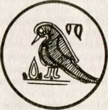 То есть это - i_001.jpg