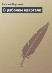 В рабочем квартале - автор Брусянин Василий Васильевич 