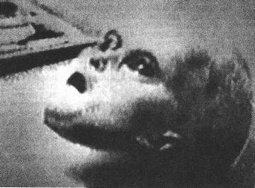 Трагедия в Нью-Мексико - i_002.jpg