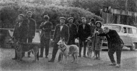 Следопыты. Из опыта служебно-розыскного собаководства сотрудников уголовного розыска Пермской области - i_016.jpg