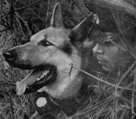 Следопыты. Из опыта служебно-розыскного собаководства сотрудников уголовного розыска Пермской области - i_018.jpg