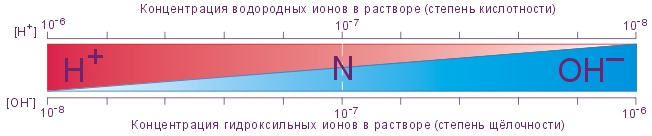 Щелочная система оздоровления (СИ) - img_10.png