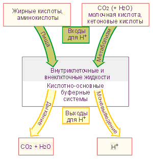 Щелочная система оздоровления (СИ) - img_12.png
