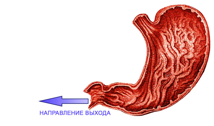 Щелочная система оздоровления (СИ) - img_24.png