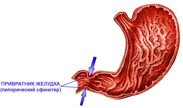 Щелочная система оздоровления (СИ) - img_25.png