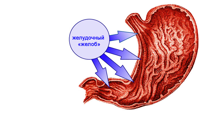 Щелочная система оздоровления (СИ) - img_26.png