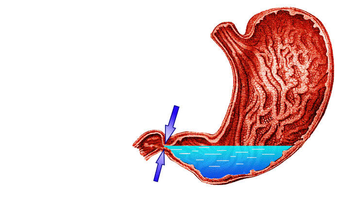 Щелочная система оздоровления (СИ) - img_28.png