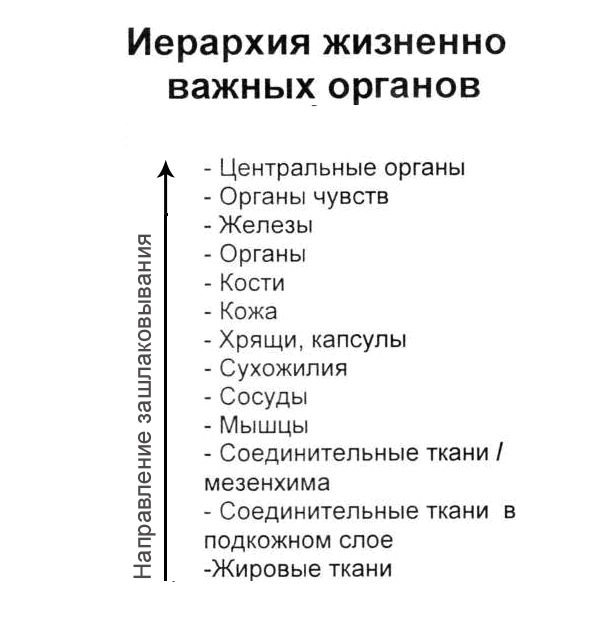 Щелочная система оздоровления (СИ) - img_8.png