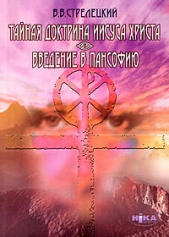 Тайная доктрина Иисуса Христа. Введение в пансофию - автор Стрелецкий Владимир Васильевич 