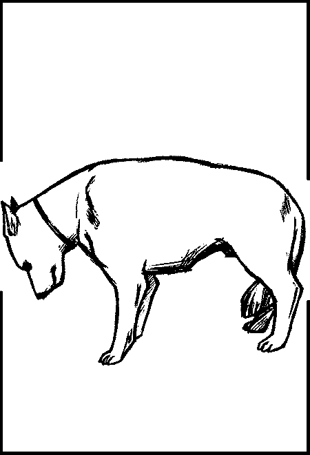 Ребенок и собака [Их добрые отношения. Советы опытного собаковода] - i_003.png