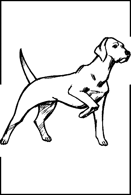 Ребенок и собака [Их добрые отношения. Советы опытного собаковода] - i_004.png