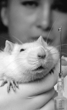 Итоги № 4 (2012) - TAGimg_815_I-04-TELEGR-news-f15_640_jpg493614