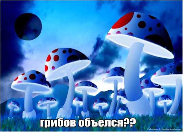 (С)траХХХ подхода-2012 - i_026.jpg