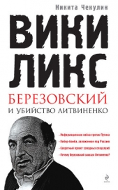 «ВикиЛикс», Березовский и убийство Литвиненко. Документальное расследование - автор Чекулин Никита Сергеевич 