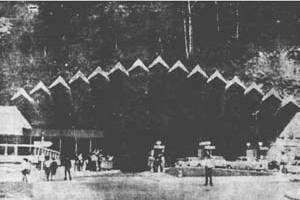 Растения - гениальные инженеры природы - i_011.jpg