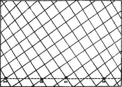 Растения - гениальные инженеры природы - i_033.jpg