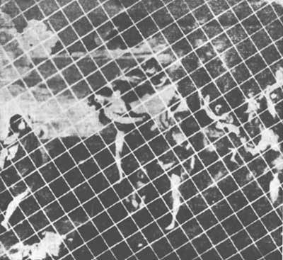 Растения - гениальные инженеры природы - i_034.jpg