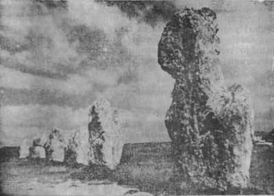 Растения - гениальные инженеры природы - i_086.jpg