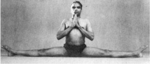 Тело йоги. Истоки современой постуральной практики - image49.jpg