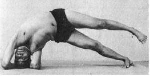 Тело йоги. Истоки современой постуральной практики - image60.jpg