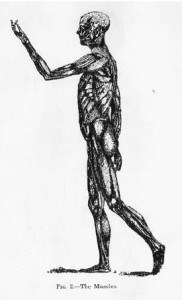 Тело йоги. Истоки современой постуральной практики - image133.jpg