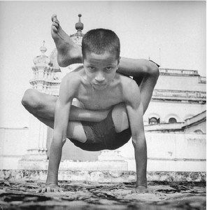 Тело йоги. Истоки современой постуральной практики - image145.jpg