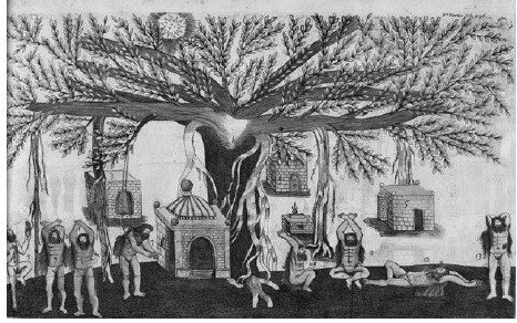 Тело йоги. Истоки современой постуральной практики - image29.jpg