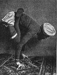 Тело йоги. Истоки современой постуральной практики - image45.jpg