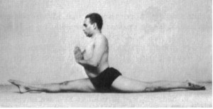 Тело йоги. Истоки современой постуральной практики - image55.jpg