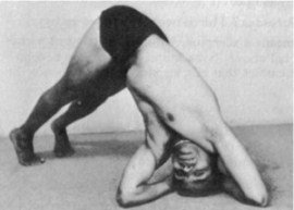 Тело йоги. Истоки современой постуральной практики - image62.jpg