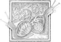 Я надену платье цвета ночи - doc2fb_image_02000003.jpg