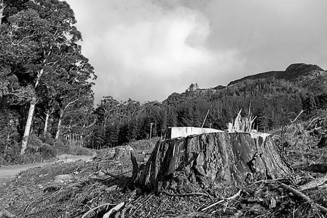 Итоги № 4 (2014) - TAGimg_868_I-04-TELEGR-news-f04_640_jpg725522