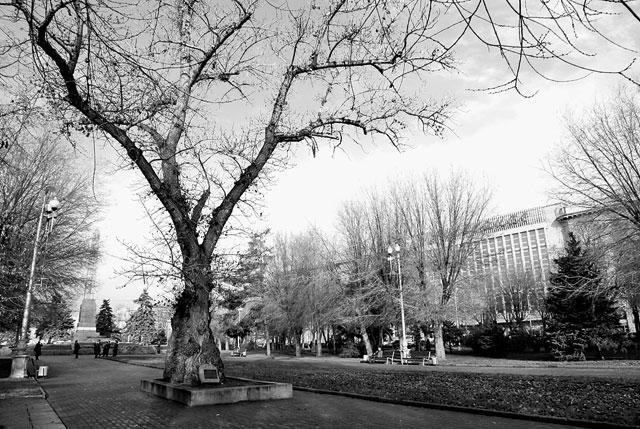 Итоги № 4 (2014) - TAGimg_868_I-04-TELEGR-news-f17_640_jpg683583