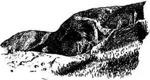 Безрогий носорог - i_010.jpg