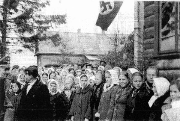 Хозяин Брянских лесов - i_011.jpg