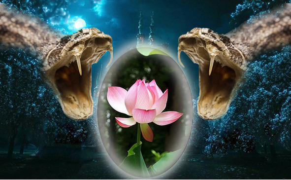 Шамаханская царица - image0_5655ae2f4d588697075428a6_jpg.jpeg