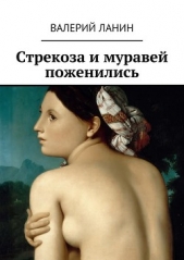 Стрекоза и муравей поженились - автор Ланин Валерий 