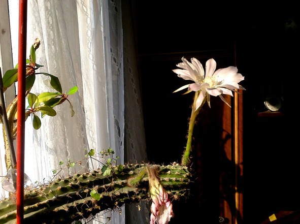 Odnoklassniki.ru. Неотправленные письма другу - image0_569d217462b1b1655a966f6d_jpg.jpeg