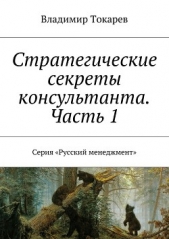 Стратегические секреты консультанта. Часть 1 - автор Токарев Владимир 