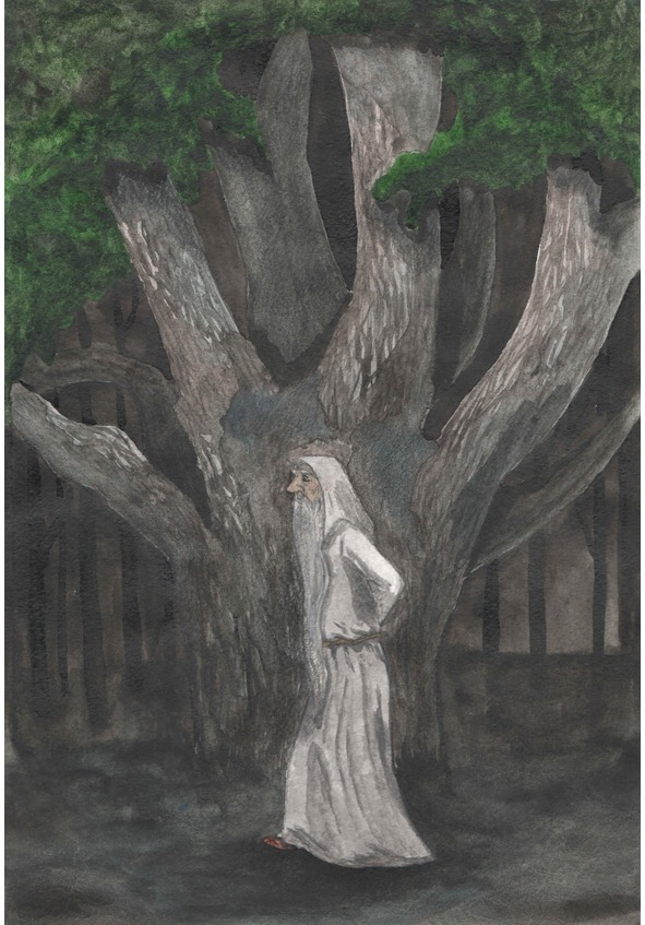 Дорога к реке Бойн - image1_56b20bfea6153c0500c2a68e_jpg.jpeg