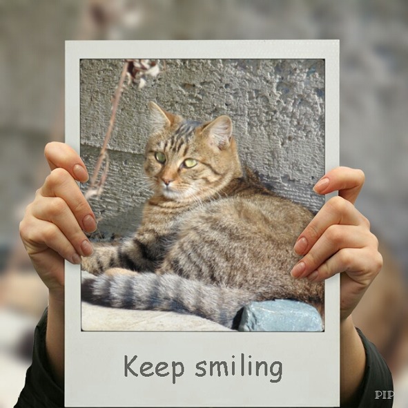 Детям о котиках - image1_56baf9230d1a390500ec121b_jpg.jpeg